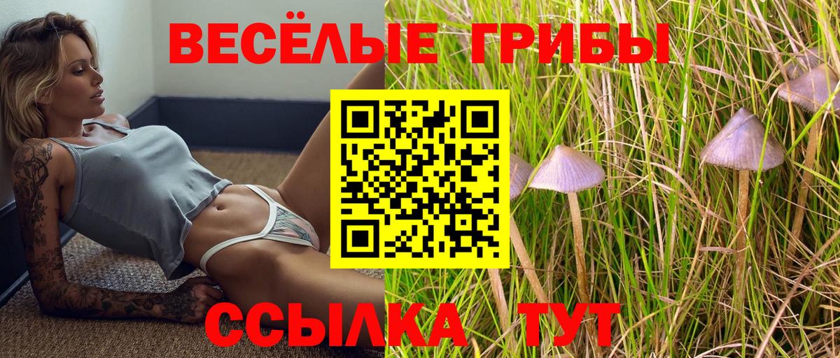 Галлюциногенные грибы мухоморы Севастополь