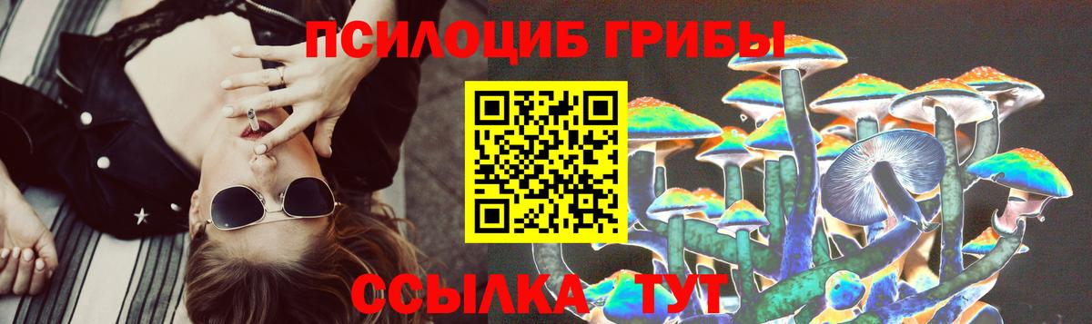 Севастополь  Галлюциногенные грибы прущие грибы  Вход с VPN 